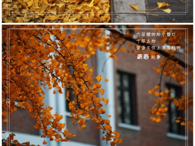 青春-清华大学校园景色组图